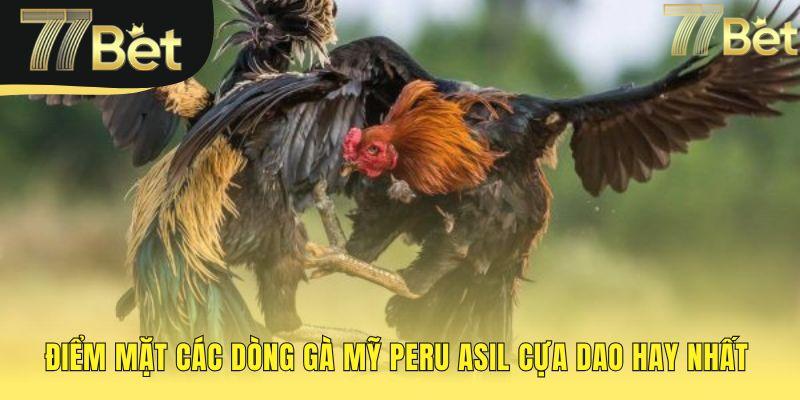 Phân tích các dòng gà chiến qua lối đá và đặc điểm riêng