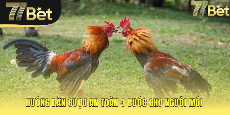 Quy trình đặt cược an toàn qua ba bước đơn giản cho người mới
